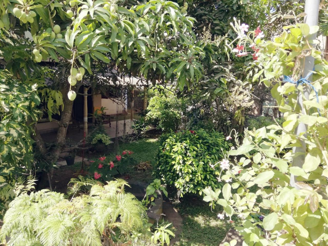 Nisadi Villa 벤토타 외부 사진